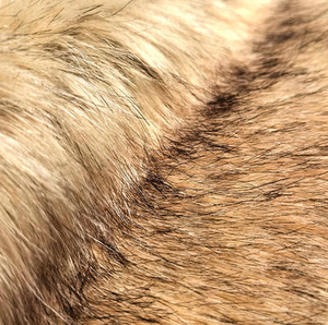 faux fur fabric2.png
